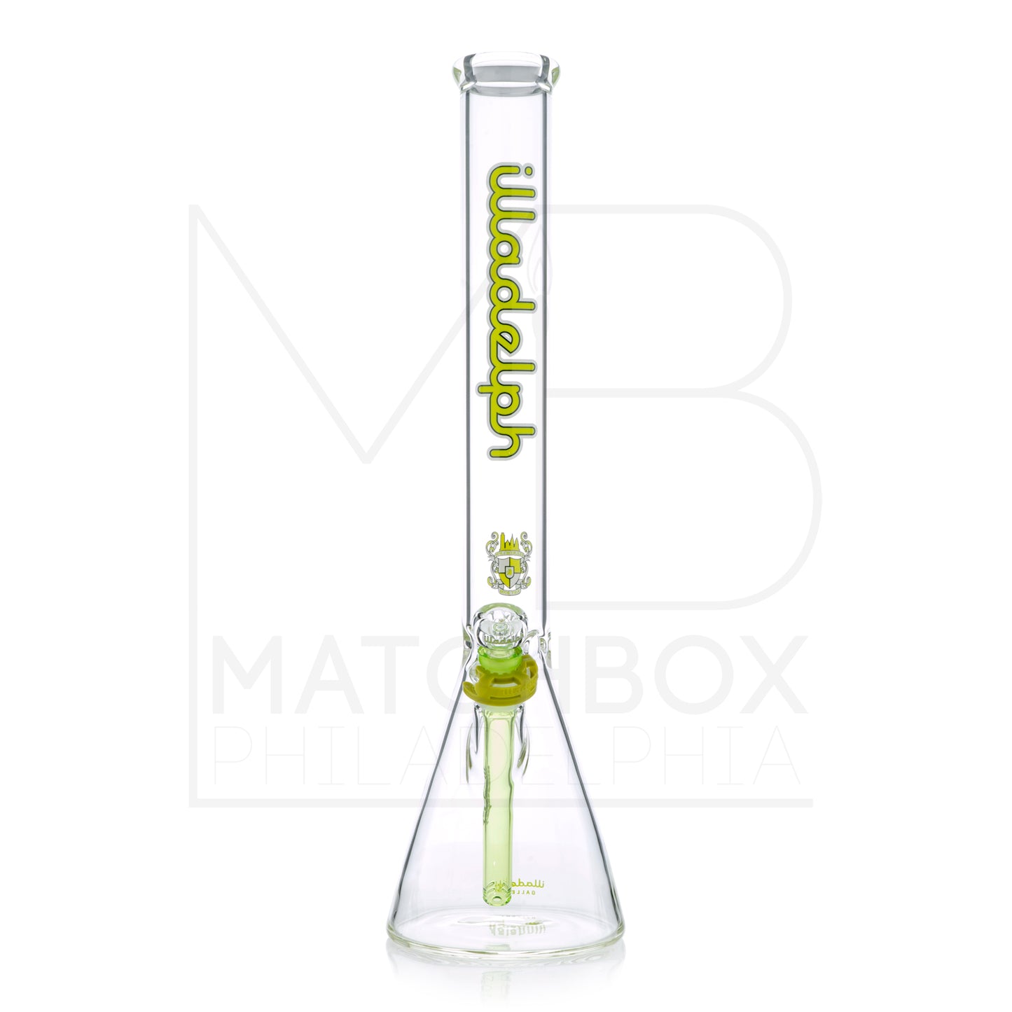 Medium 19" Beaker | Lime