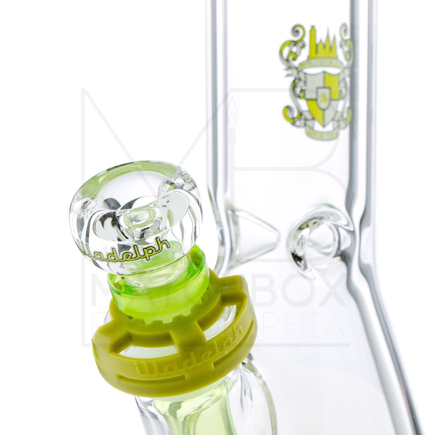 Medium 19" Beaker | Lime