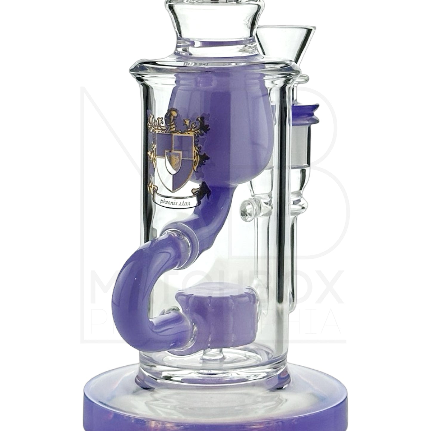 Showerhead Recycler Rig | Purple