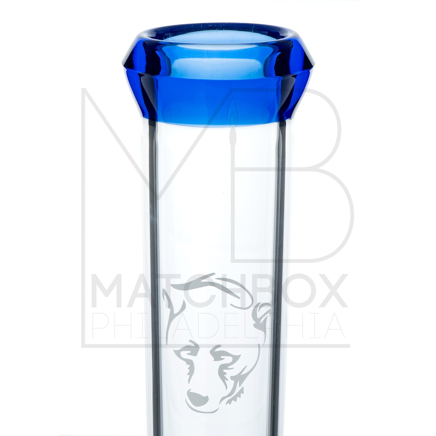 18" Beaker | White & Blue